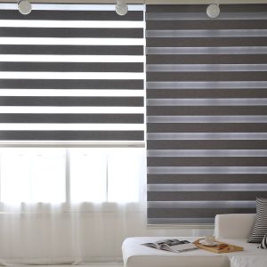 Zebra Blinds
